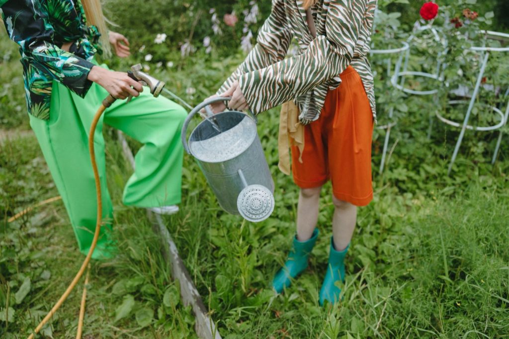 Économiser l'eau pour l'arrosage du jardin