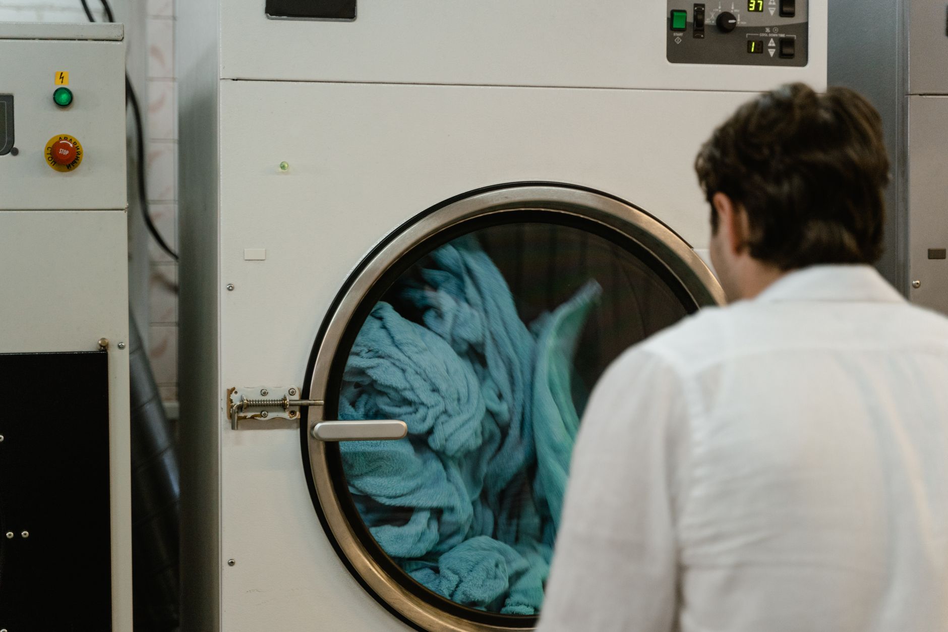 Utiliser l'eau du sèche-linge pour arroser vos plantes : est-ce une bonne idée ?