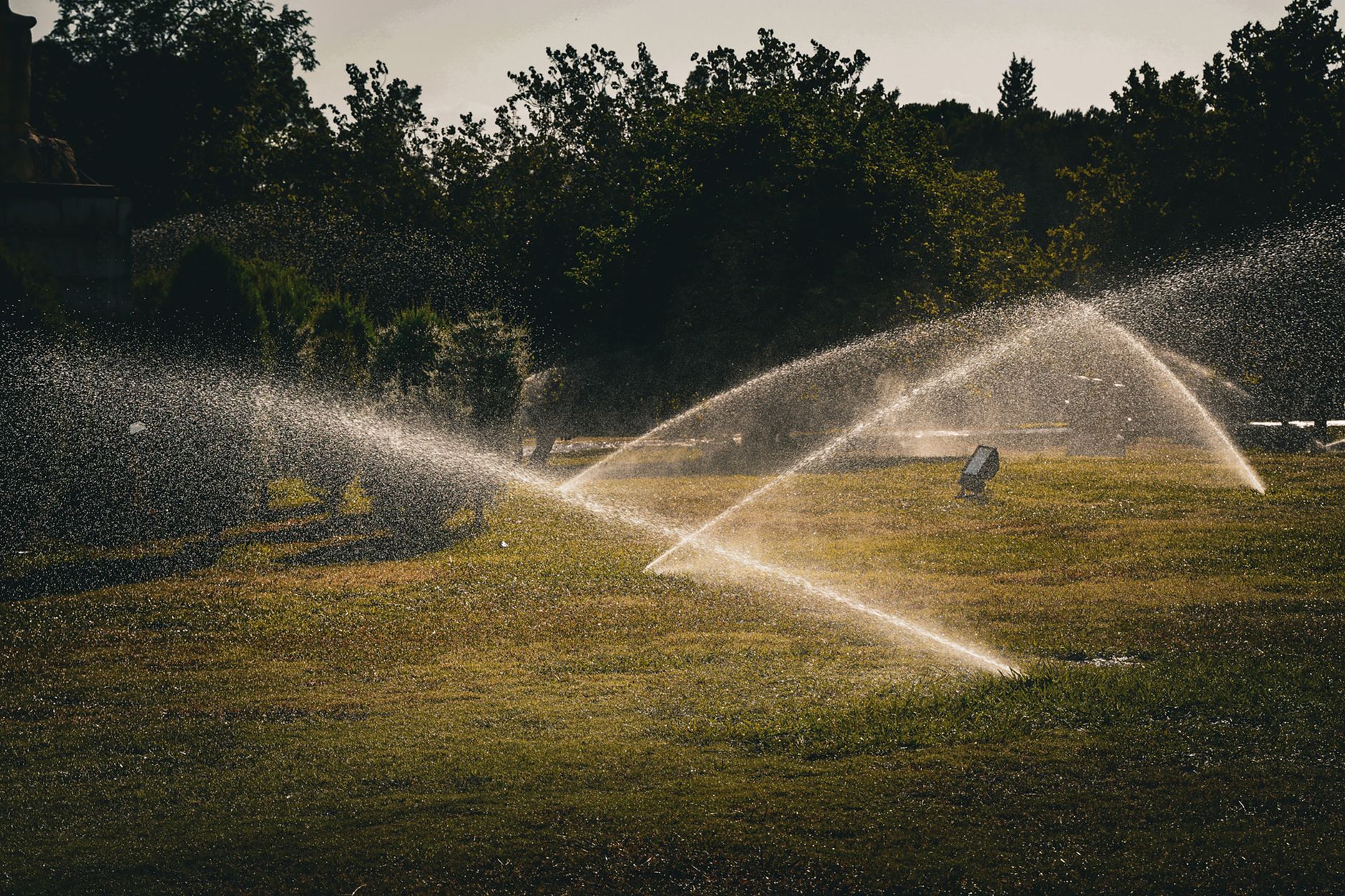 Un arroseur automatique peut-il vraiment réduire votre facture d'eau ? Oui, voici comment