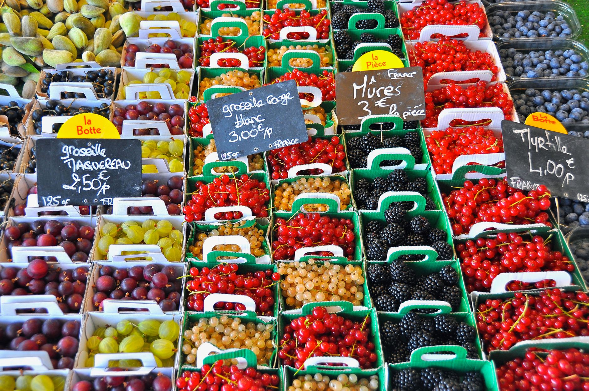 Citronnier qui jaunit : l'erreur d'arrosage que vous faites sûrement