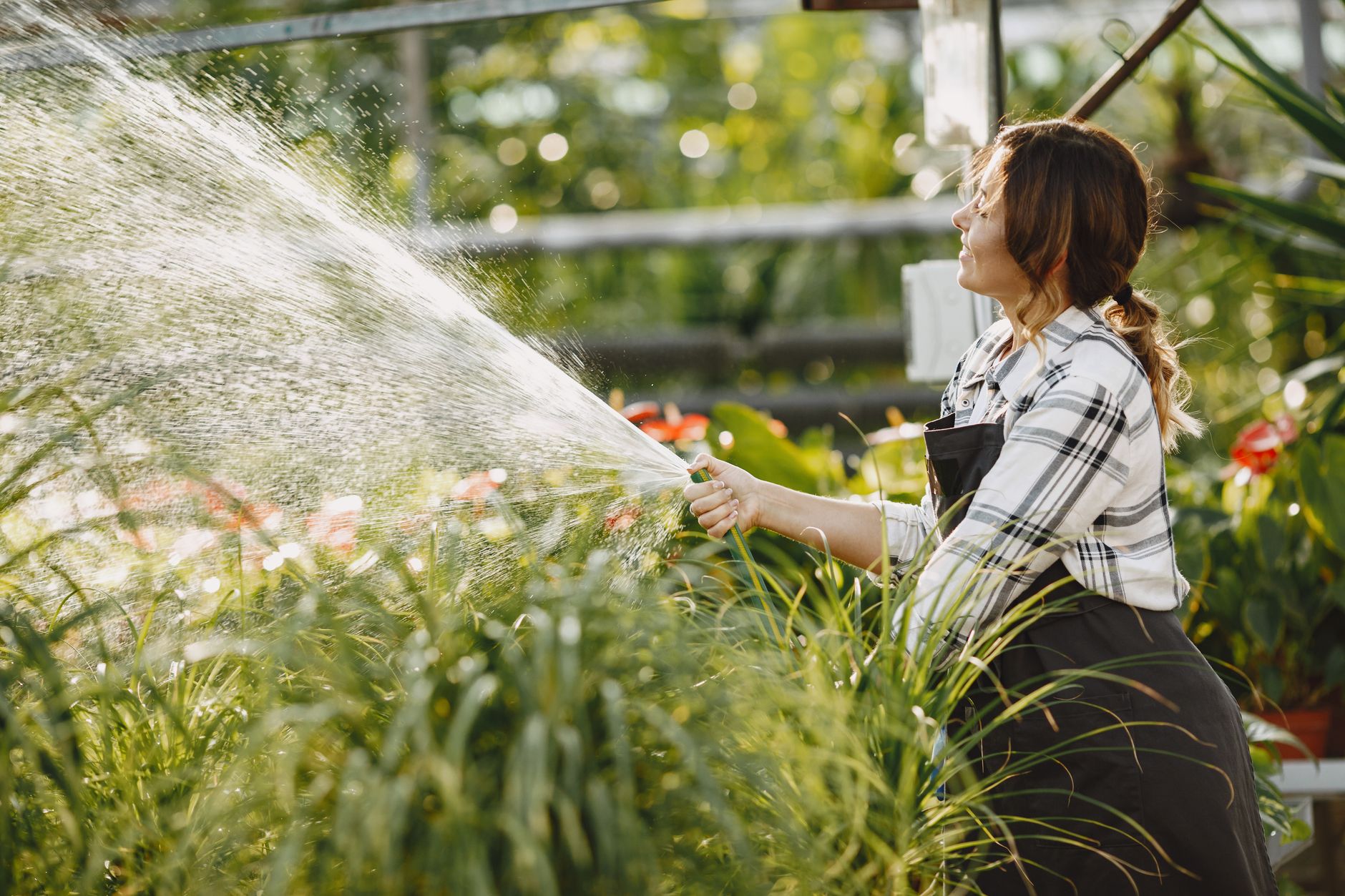 Économisez jusqu'à 60 % d'eau en arrosant votre potager : les secrets d'une irrigation efficace