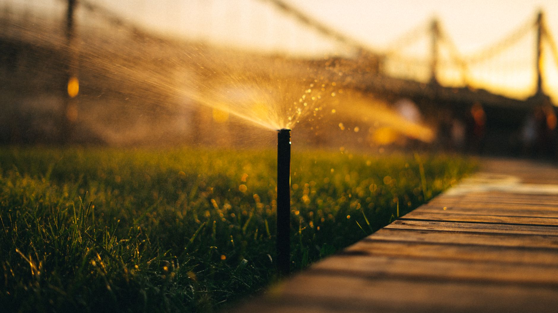 Sécheresse et jardinage : l'atout majeur de l'arrosage intelligent